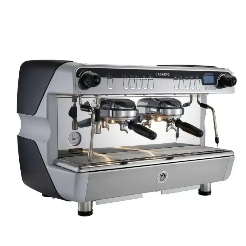 Casadio Nettuno espresso machine