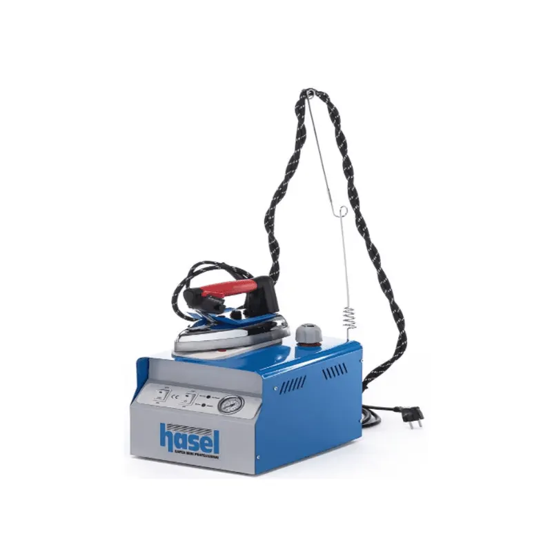 Portable steam generator